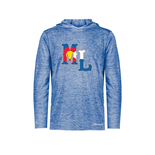 [FOLHCGRY-AS-LOGO3] Decker Men's Charge Hoodie (Adult S, Royal, Logo 3)