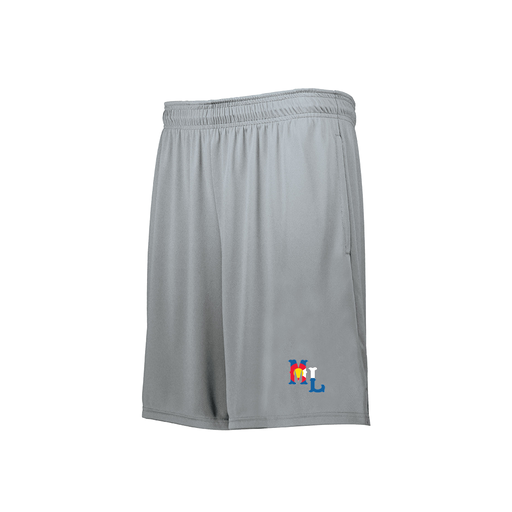 [229511.099.XS-LOGO3] Decker Men's Swift Short (Adult XS, Silver, Logo 3)